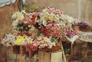 Barraca de Flores, Mentone Market