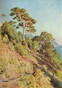 Na Villa Piuma, Sestri Levante, c1910, 1912 de Walter Frederick Roofe Tyndale