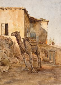 Camelo amarrado (aguarela) de Walter Frederick Roofe Tyndale