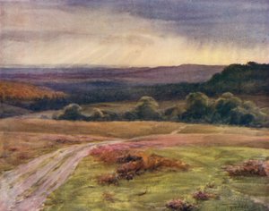 A Nova Floresta: Boldrewood Walk, Puck Pitts, from the Fritham Road (cor litho) de Walter Frederick Roofe Tyndale