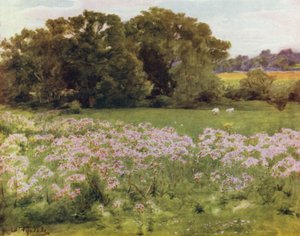 A Nova Floresta: Riversdale, Boldre (cor litho) de Walter Frederick Roofe Tyndale