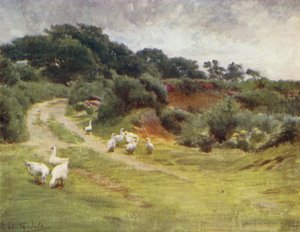 A Nova Floresta: Royden Common, perto de Brokenhurst (cor litho) de Walter Frederick Roofe Tyndale