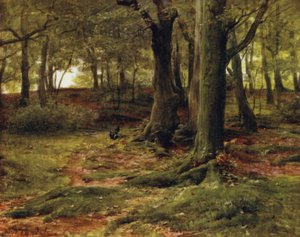 A Nova Floresta: The Hill Woods, Lyndhurst (cor litho) de Walter Frederick Roofe Tyndale