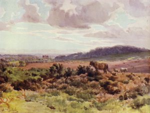 A Nova Floresta: Vista de Picket Post na Ringwood Road (cor litho) de Walter Frederick Roofe Tyndale