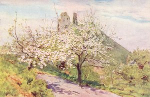 Wessex: primavera em Wessex (litografia a cores) de Walter Frederick Roofe Tyndale