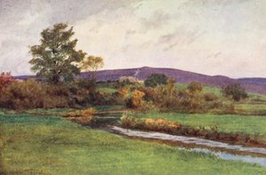 Wessex: O "Rainbarrow" do regresso do nativo (litografia a cores) de Walter Frederick Roofe Tyndale