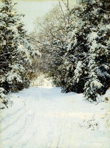 Árvores carregadas de neve