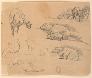 Esboços de ovelhas de Walter Shirlaw