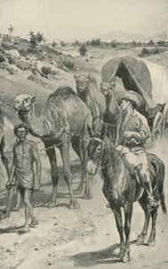 Uma camelo-caravana, Austrália Ocidental de Walter Stanley Paget