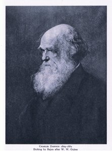 Etching of Charles Darwin, Nature in Britain publicado pela Collins de Walter William (after) Ouless