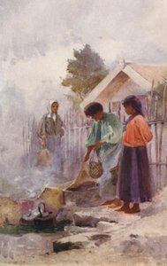Nova Zelândia: Cozinhar numa fonte termal (litografia a cores)