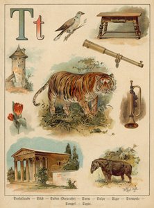 Carta T (chromolitho) de Walter Zweigle