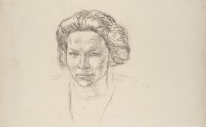 Retrato de uma senhora de Walther Gamerith
