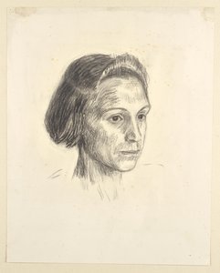 Retrato de uma senhora de Walther Gamerith
