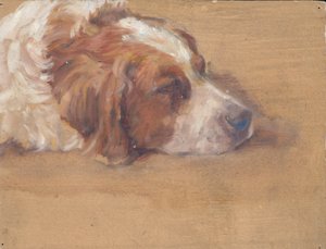 Cabeça de cão (estudo) de Walther Gamerith