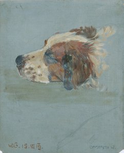 Cabeça de cão de Walther Gamerith