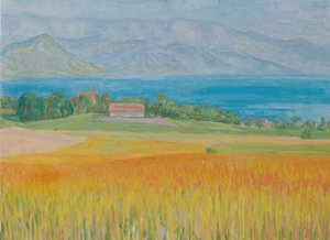 Campo de milho no Lago Attersee de Walther Gamerith