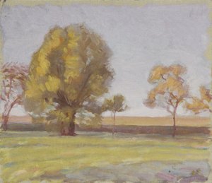 Paisagem de Walther Gamerith