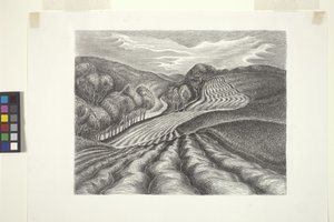 Campos arados (tinta, lápis)