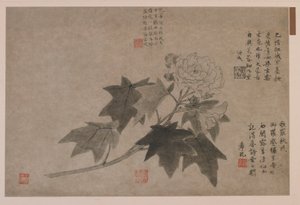 Hibiscus, 1347. de Wang Yuan