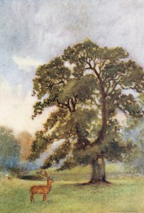  de Warwick (after) Goble