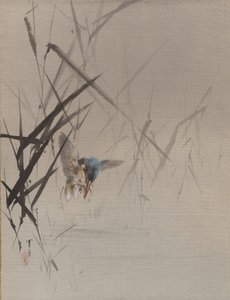 Peixe que apanha peixes entre juncos, ca. 1887