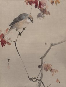 Aranha no ramo assistindo aranha, ca. 1887