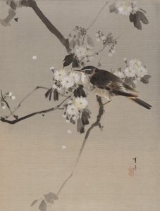 Aves em um ramo florido, ca. 1887.