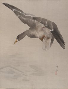 Duck, ca. 1887