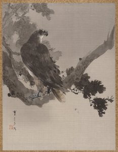 Águia em uma árvore, ca. 1887