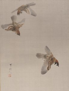 Sparrows Flying, ca. 1887.