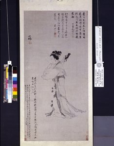 Senhora com um alaúde de Wei Wu
