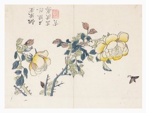 Jardim de sementes de mostarda de Wen shu Chao