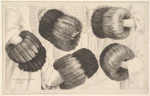 Um Muff em cinco vistas, 1645-46. de Wenceslaus Hollar