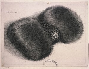 Um grande regalo com uma faixa de brocado, 1647 de Wenceslaus Hollar