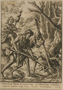 Adam Arando de Wenceslaus Hollar