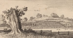 Albury, 1645. de Wenceslaus Hollar