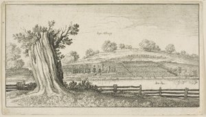 Albury com toco de árvore em primeiro plano de Wenceslaus Hollar