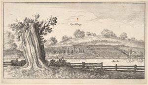 Albury com coto de árvore em primeiro plano, 1625-77. de Wenceslaus Hollar