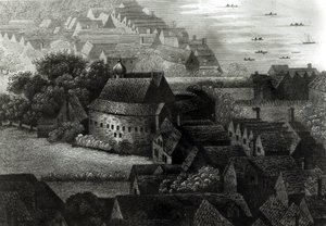 Urso Jardim, 1647 de Wenceslaus Hollar