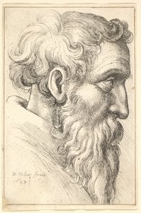 Velho barbudo de perfil para a direita, 1645. de Wenceslaus Hollar