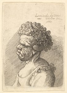 Busto de uma mulher deformada com cabelos cacheados de perfil à esquerda, 1665. de Wenceslaus Hollar