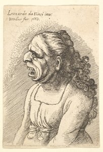 Busto de mulher com a boca aberta e longos cabelos encaracolados caindo sobre os ombros, vestindo ..., 1665. de Wenceslaus Hollar
