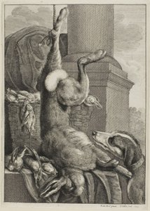 Lebre morta de Wenceslaus Hollar