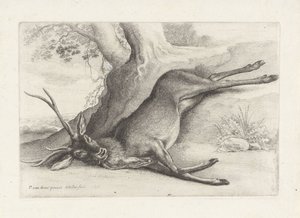 Veado morto a tiro
Caça, cães de caça e caça (título da série) de Wenceslaus Hollar
