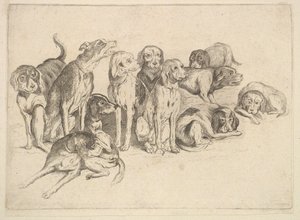 Onze cães, 1625-77. de Wenceslaus Hollar