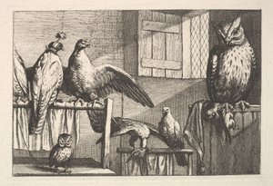 Falcões e corujas, 1625-77. de Wenceslaus Hollar