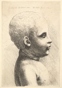 Cabeça e ombro de uma criança, de perfil para a direita, 1645. de Wenceslaus Hollar