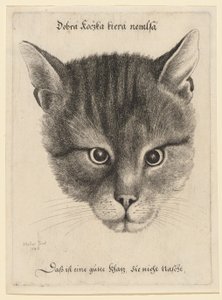  de Wenceslaus Hollar