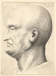 Cabeça de um homem careca de perfil à esquerda, 1644-52.